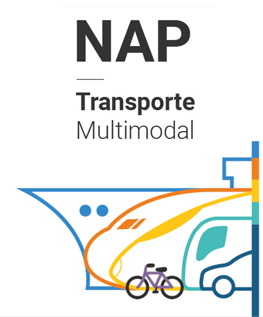 Logotipo del NAP