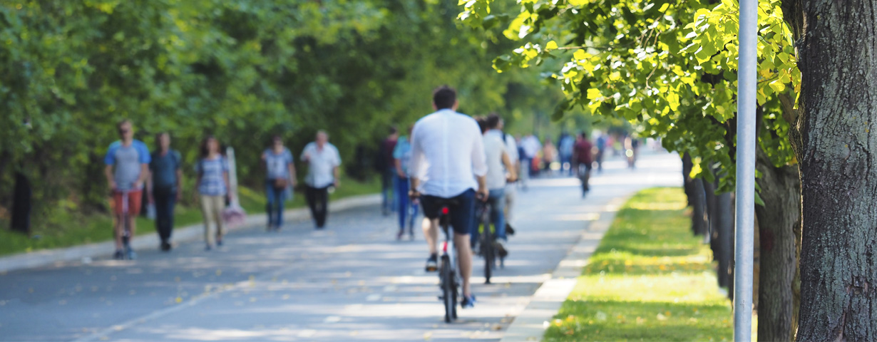 Paseo con bicis